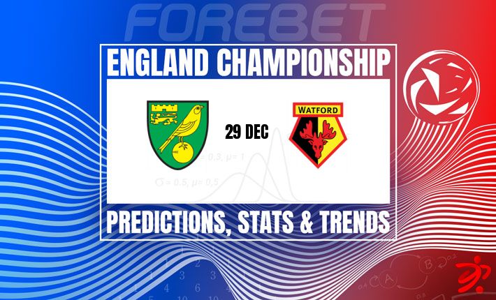 诺维奇城对阵沃特福德 | 卡罗路球场上演英冠关键战役